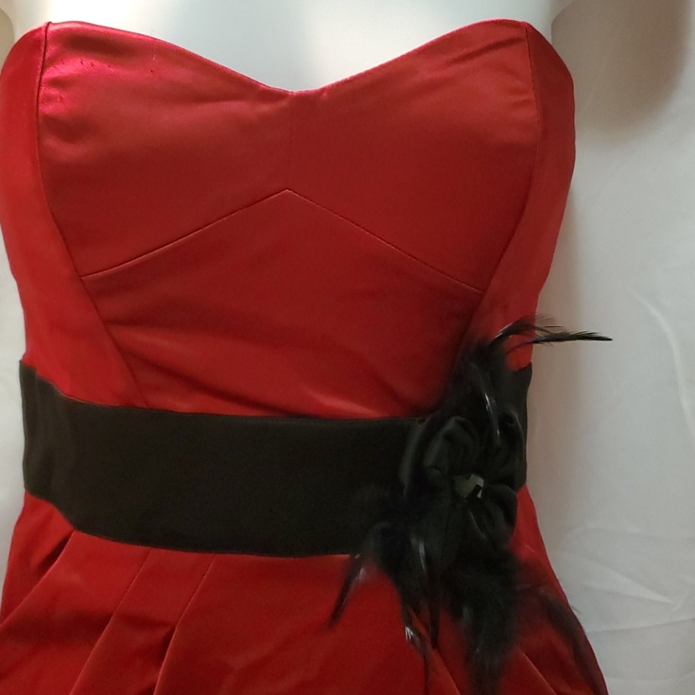 Strapless Dress - Picture 2 of 8